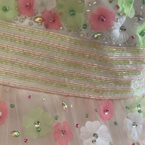 Pink and Green Ball Gown - Picture 8 of 10